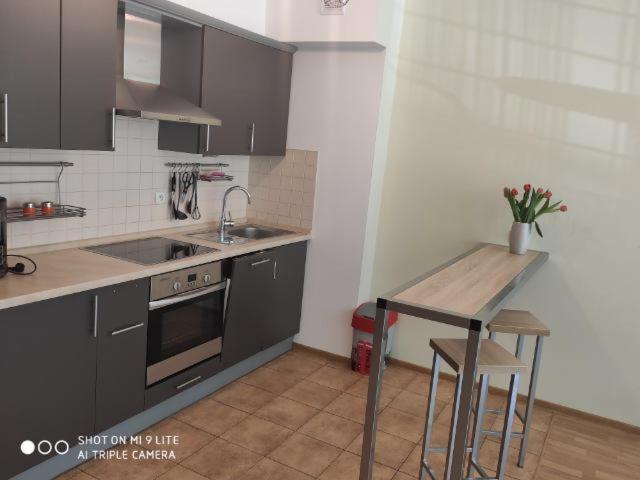 Luxapartament 3 - Z Duzym Tarasem I Garazem W Zeta Park Ustroń Buitenkant foto